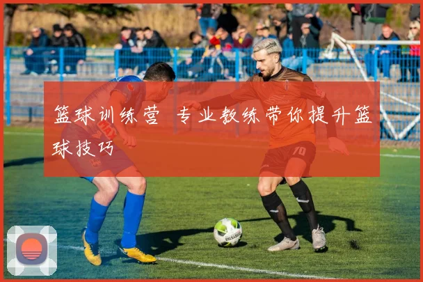篮球训练营 专业教练带你提升篮球技巧