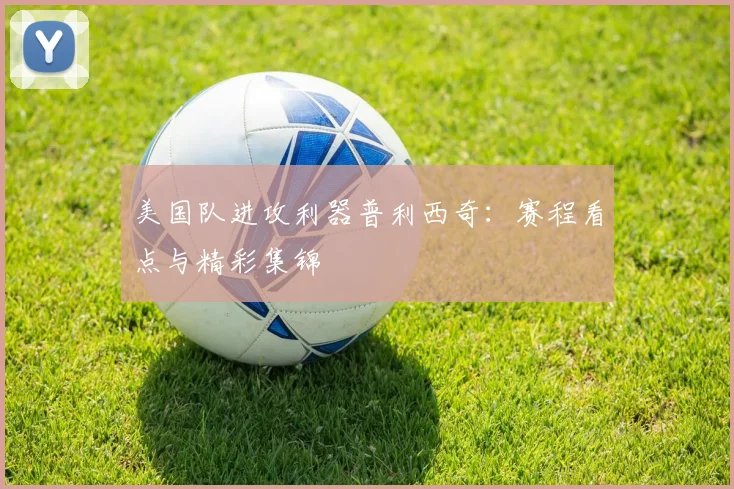 美国队进攻利器普利西奇:赛程看点与精彩集锦